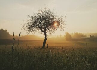 Jak długo goi się rana po szyciu?