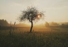 Jak postępować z otwarta rana? Jak postępować z otwarta rana?