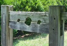 Czy karać dziecko z Aspergerem?