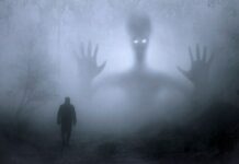 Co to jest Ghost commerce? Co to jest Ghost commerce?